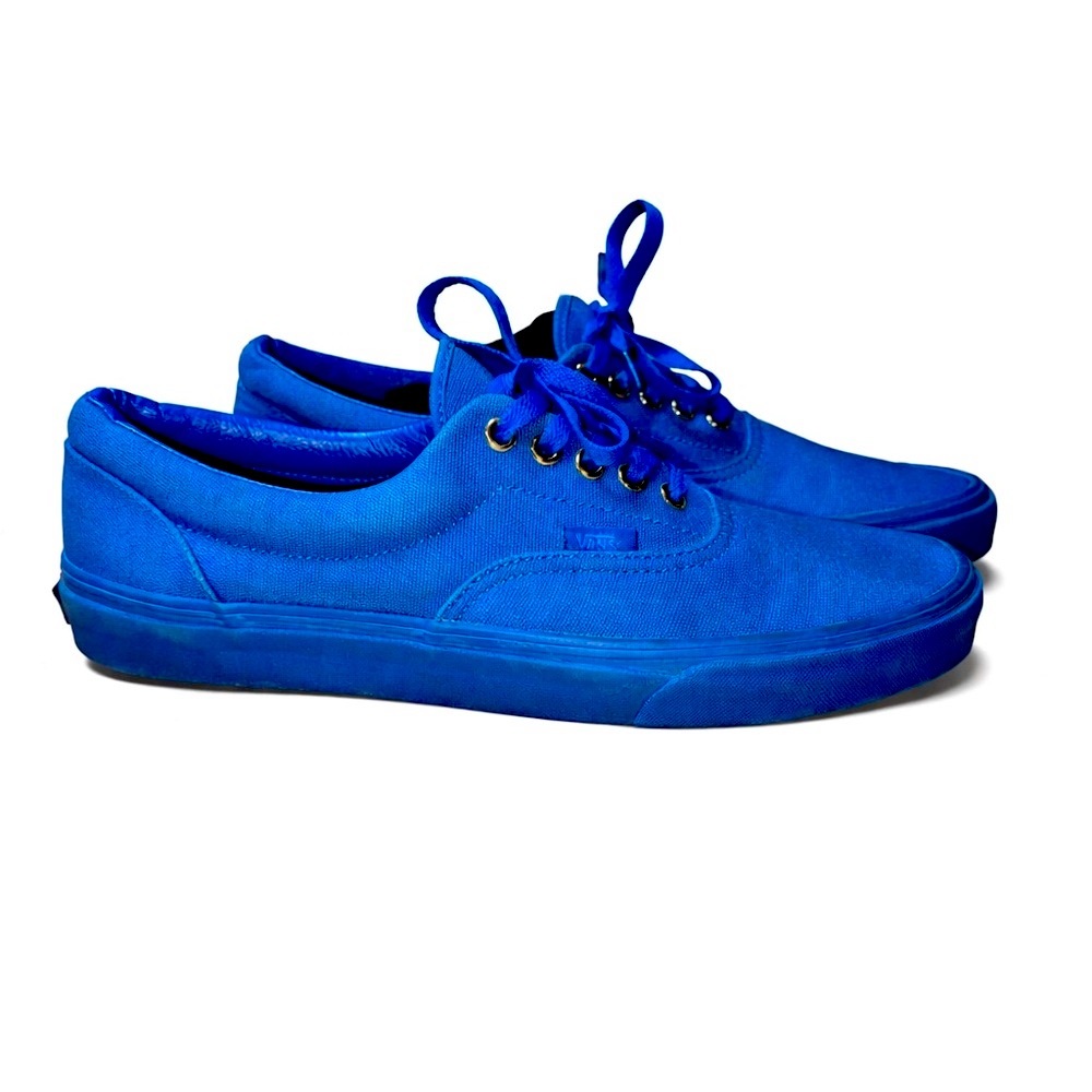 Vans Men's Royal Blue Canvas Low-Top Sneakers
